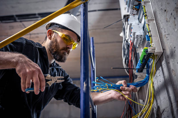 Best Electric Panel Repair  in Conehatta, MS